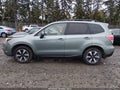 2017 Subaru Forester — photo 14 of 16 | VIN JF2SJAJC7HH566532