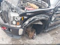 Photo 6 of 15 — 2010 Ford F-250