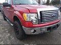 Photo 6 of 17 — 2010 Ford F-150 Lightning