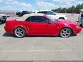 Photo 6 of 17 — 1999 Ford Mustang