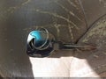 Photo 11 of 13 — 1998 Chevrolet Malibu