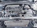 Photo 10 of 17 — 2025 Hyundai Elantra
