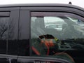 Photo 18 of 21 — 2020 Ford F-150