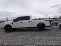 Photo 15 of 17 — 2019 Ford F-250