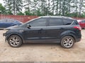 Photo 15 of 17 — 2016 Ford Escape