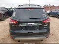 Photo 17 of 17 — 2016 Ford Escape