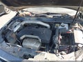 2013 Chevrolet Malibu — photo 10 of 10 | VIN 1G11C5SA3DF208075