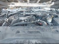 Photo 10 of 11 — 2013 GMC Sierra