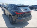 Photo 3 of 17 — 2025 Lexus NX 350