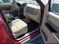 Photo 5 of 11 — 2012 Ford Escape