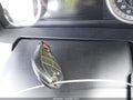 2013 Ram 1500 — photo 11 of 17 | VIN 1C6RR7GT5DS695406