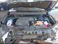 Photo 10 of 16 — 2025 Kia Niro