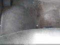 Photo 6 of 11 — 2012 Nissan Frontier