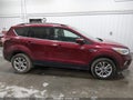 Photo 13 of 17 — 2017 Ford Escape