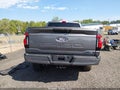 Photo 17 of 17 — 2025 Ford F-150 Lightning