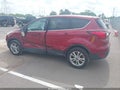 Photo 14 of 16 — 2019 Ford Escape