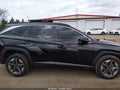 Photo 13 of 16 — 2025 Hyundai Tucson