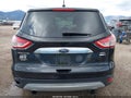 Photo 17 of 17 — 2013 Ford Escape