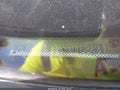 Photo 9 of 16 — 2019 Ford Fiesta