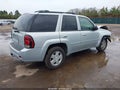 2008 Chevrolet Trailblazer — photo 4 of 17 | VIN 1GNDT13S482124405