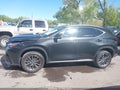 Photo 14 of 16 — 2024 Lexus NX 350