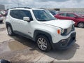 Photo 1 of 16 — 2018 Jeep Renegade