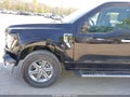 Photo 13 of 16 — 2024 Ford F-150