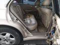Photo 8 of 11 — 2000 Honda Accord