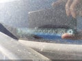 2013 Honda CR-V — photo 16 of 16 | VIN 5J6RM4H73DL072037