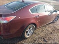2009 Acura TL — photo 6 of 12 | VIN 19UUA86569A017961