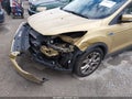 Photo 6 of 16 — 2014 Ford Escape