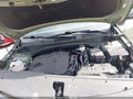 Photo 10 of 16 — 2024 Kia Sportage