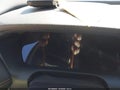 Photo 7 of 16 — 2025 Honda HR-V