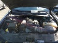 Photo 10 of 15 — 2023 Dodge Charger