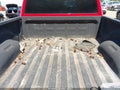 Photo 8 of 17 — 2012 Ram 1500