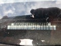 Photo 9 of 16 — 2010 GMC Canyon