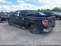 Photo 3 of 16 — 2010 Ford F-150