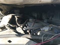 Photo 10 of 21 — 2000 Ford F-350