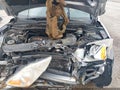 Photo 10 of 12 — 2007 Honda CR-V
