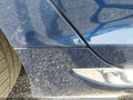 Photo 6 of 16 — 2015 Hyundai Sonata