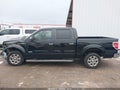 Photo 14 of 16 — 2014 Ford F-150