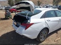 2024 Hyundai Elantra — photo 17 of 17 | VIN KMHLM4DJ5RU113276