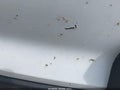 Photo 18 of 21 — 2024 Ford Edge