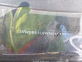 Photo 9 of 16 — 1998 Volkswagen Beetle