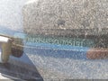 Photo 11 of 11 — 2013 Hyundai Elantra