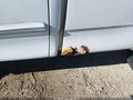 Photo 6 of 13 — 2003 Ford F-150