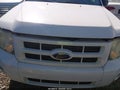 Photo 19 of 19 — 2010 Ford Escape Hybrid