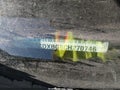 Photo 9 of 11 — 2012 Dodge Charger