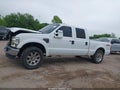 2009 Ford F-250 — photo 15 of 20 | VIN 1FTSW21RX9EB01904