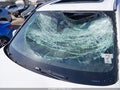 Photo 17 of 19 — 2019 BMW X5
